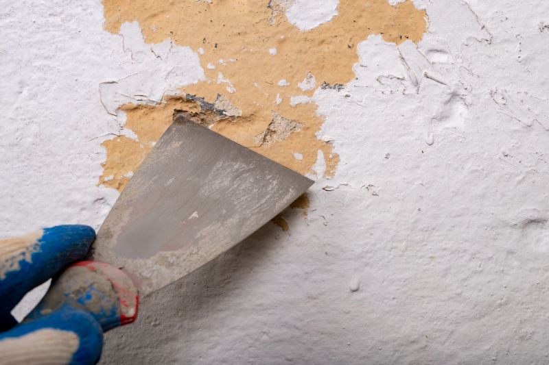 Paint Scraping