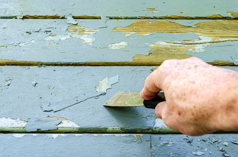 Paint Removal Service