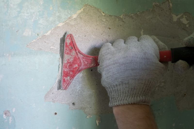 Removes hazardous lead-based paint